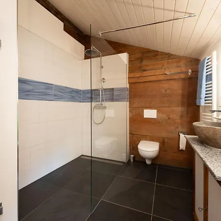 Tripfi By Interhome Lägenhet Lauterbrunnen