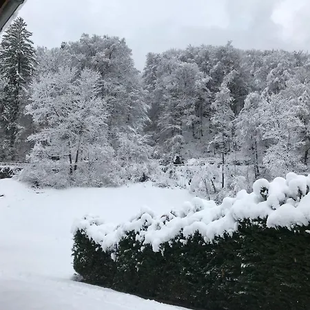 Tripfi By Interhome Apartament