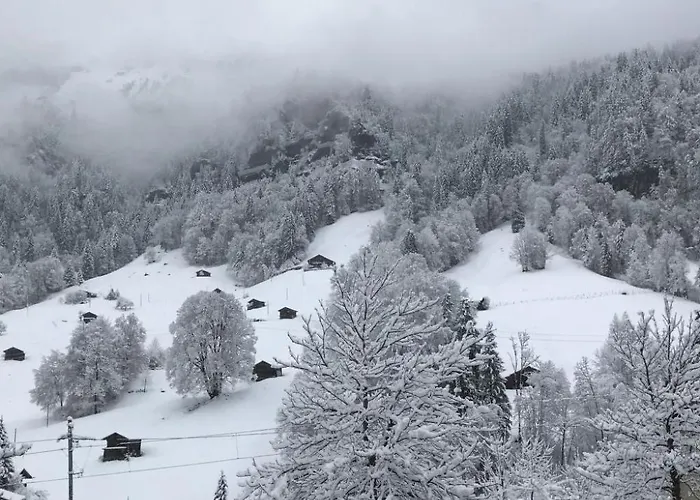 Tripfi By Interhome Lauterbrunnen