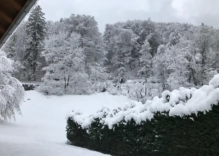 Tripfi By Interhome Lägenhet