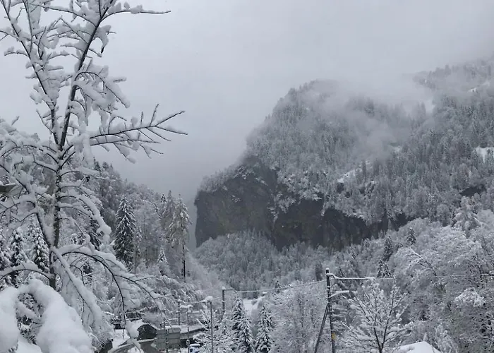 Tripfi By Interhome Lejlighed